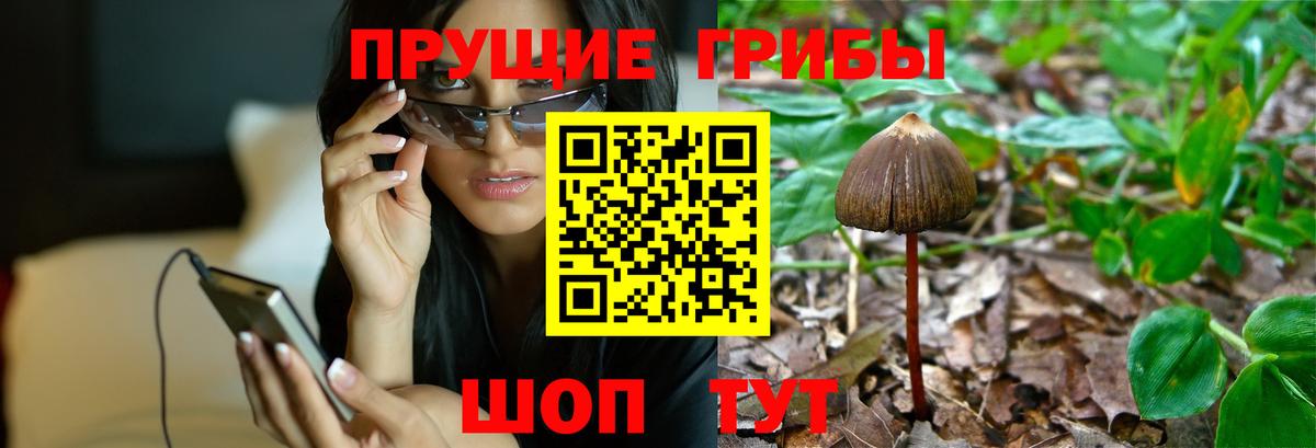 Галлюциногенные грибы ЛСД Грязи